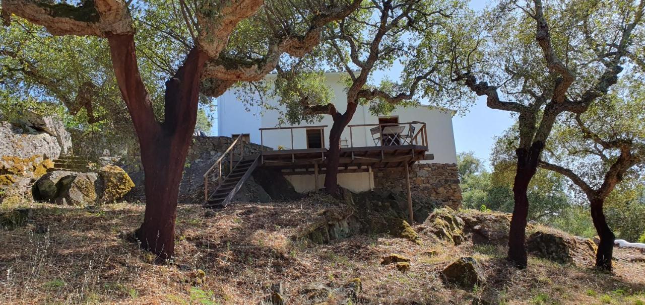 Casa Do Passaro Βίλα Galegos  Εξωτερικό φωτογραφία