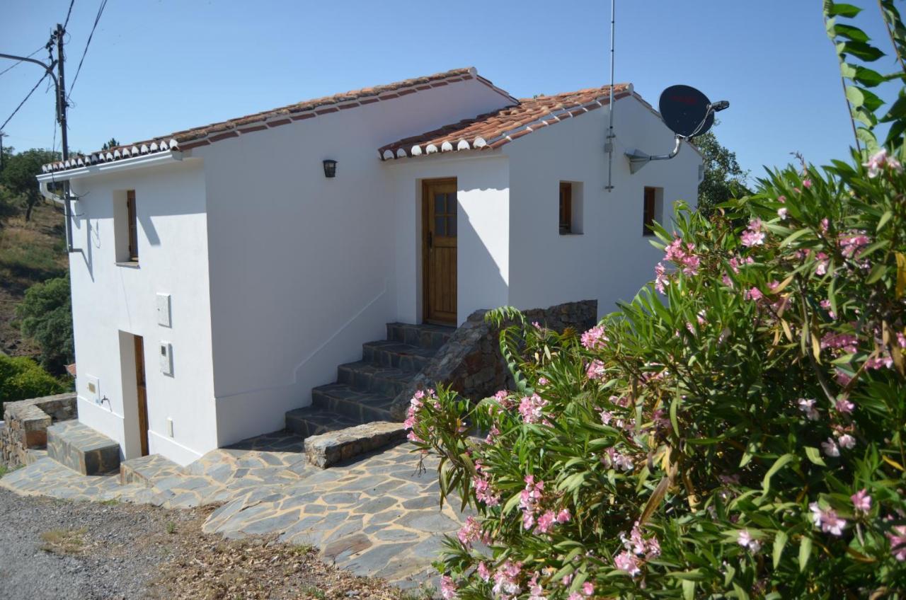 Casa Do Passaro Βίλα Galegos  Εξωτερικό φωτογραφία