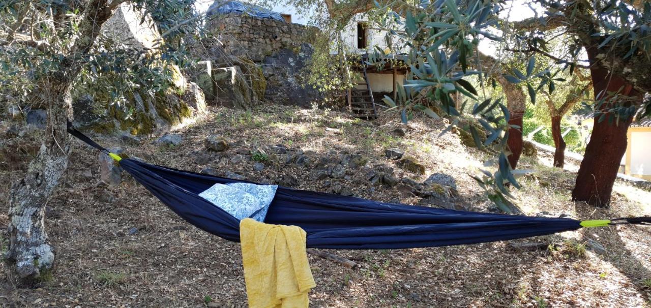 Casa Do Passaro Βίλα Galegos  Εξωτερικό φωτογραφία