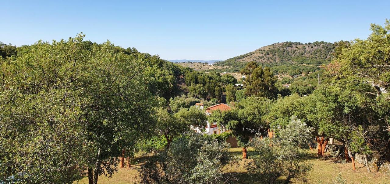 Casa Do Passaro Βίλα Galegos  Εξωτερικό φωτογραφία
