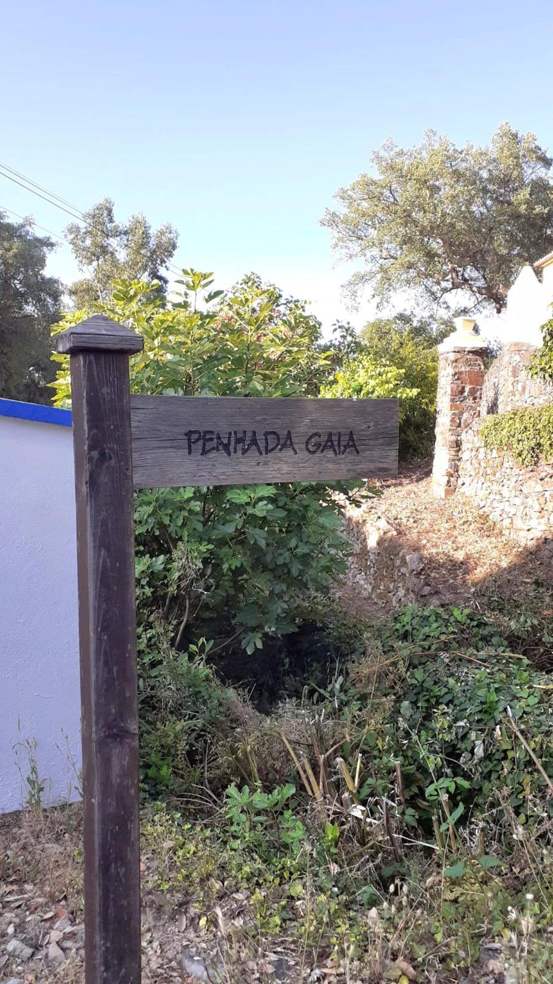 Casa Do Passaro Βίλα Galegos  Εξωτερικό φωτογραφία