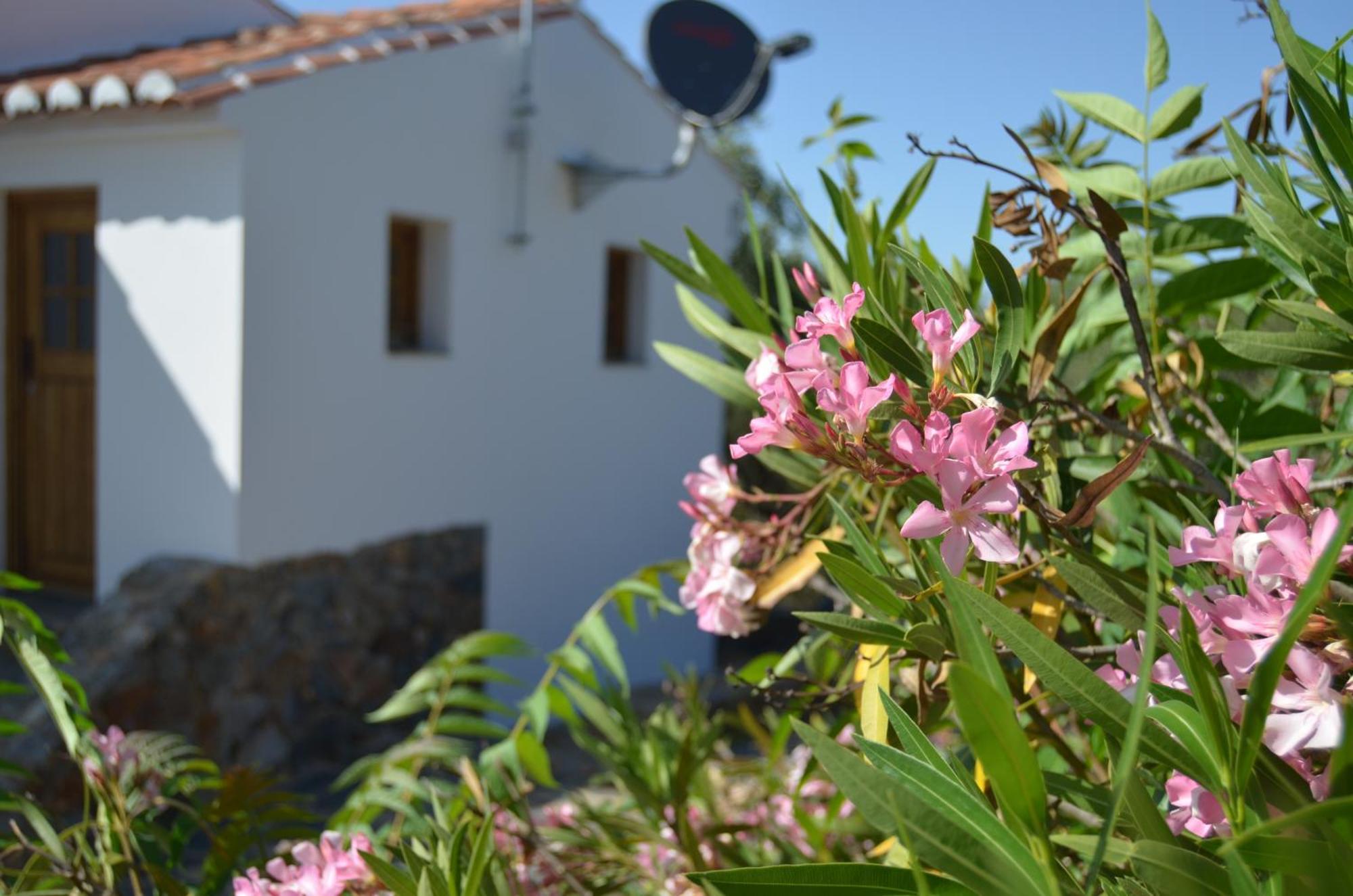 Casa Do Passaro Βίλα Galegos  Εξωτερικό φωτογραφία